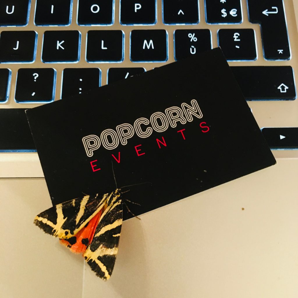 carte de visite dj popcorn events clermont auvergne